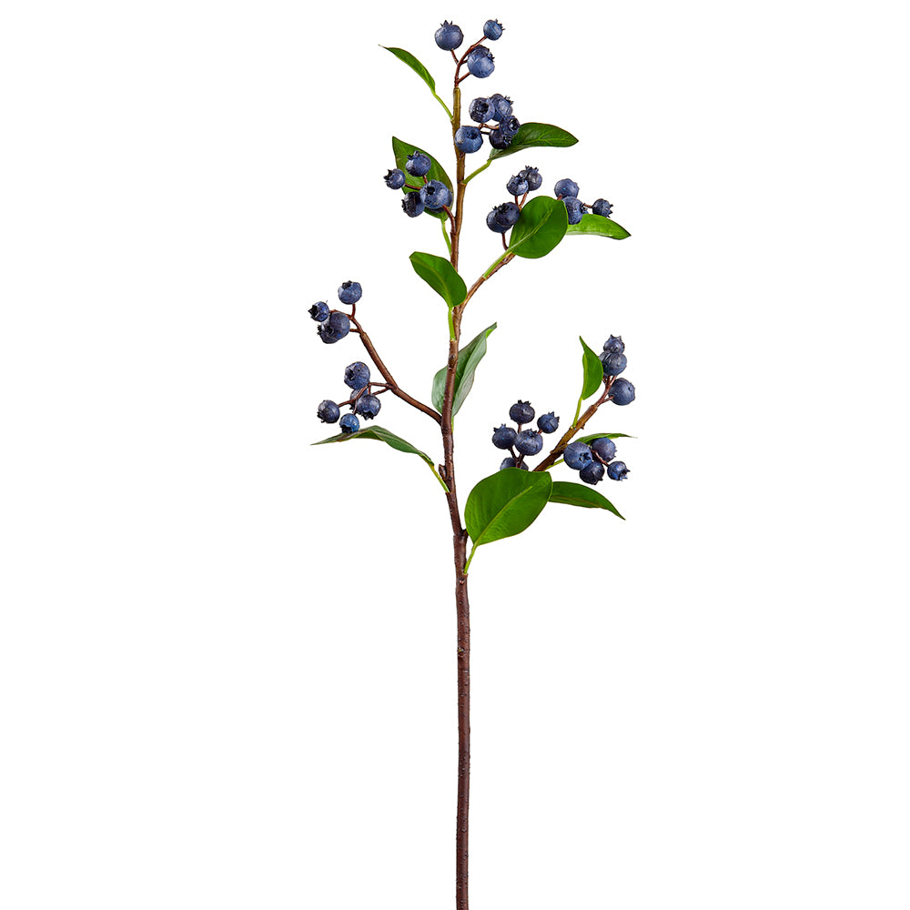 Blueberry Stem - Blue