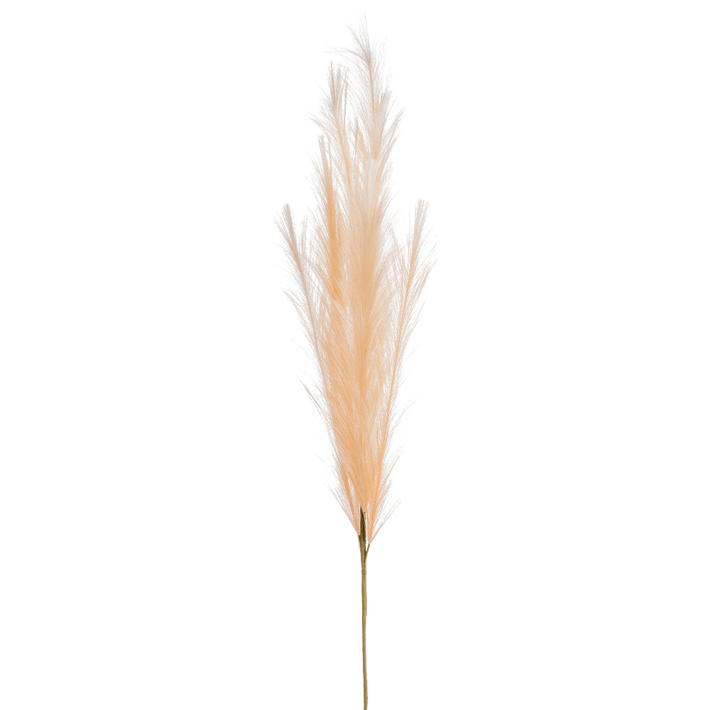 Plume Stem - Peach