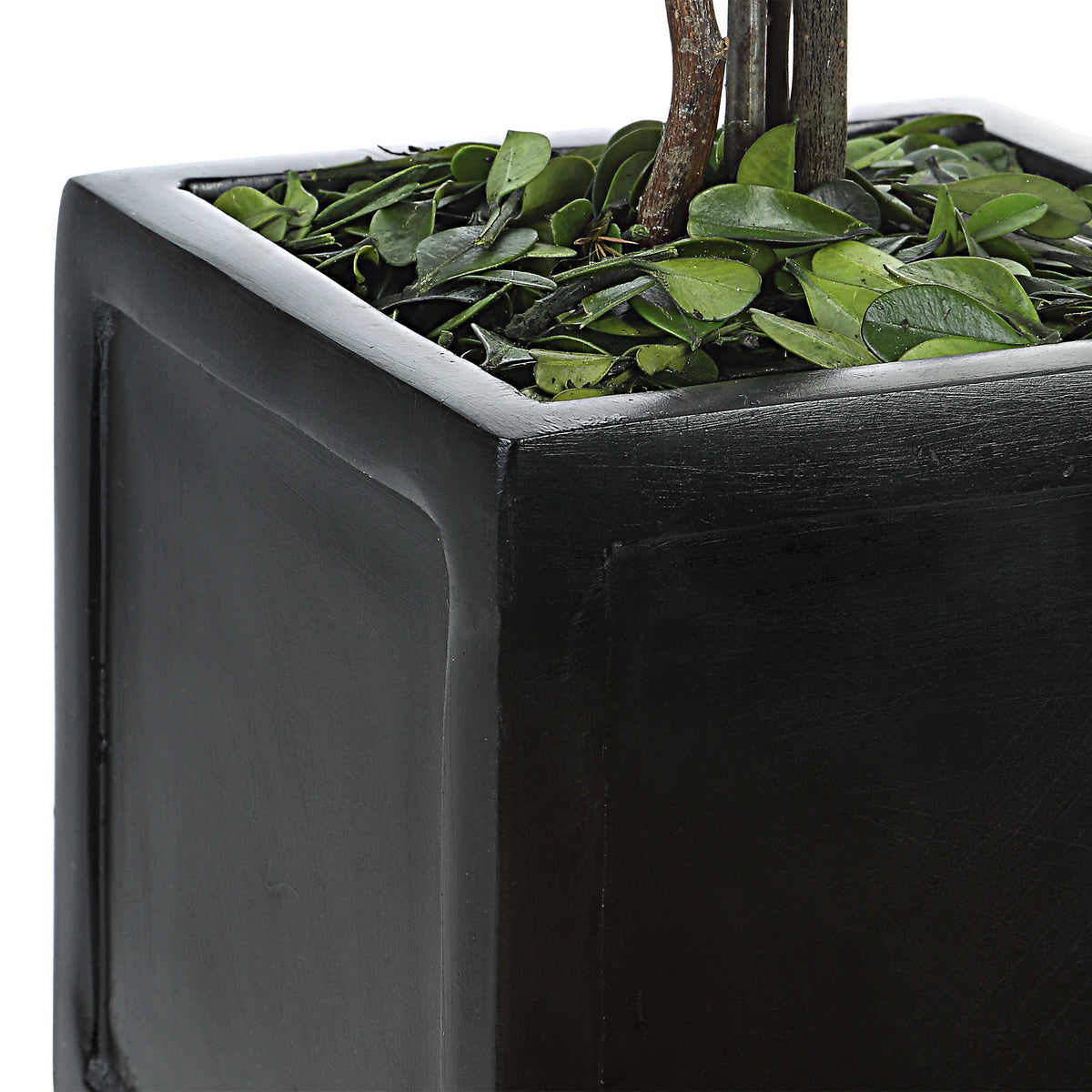 Preserved Boxwood Square Topiary