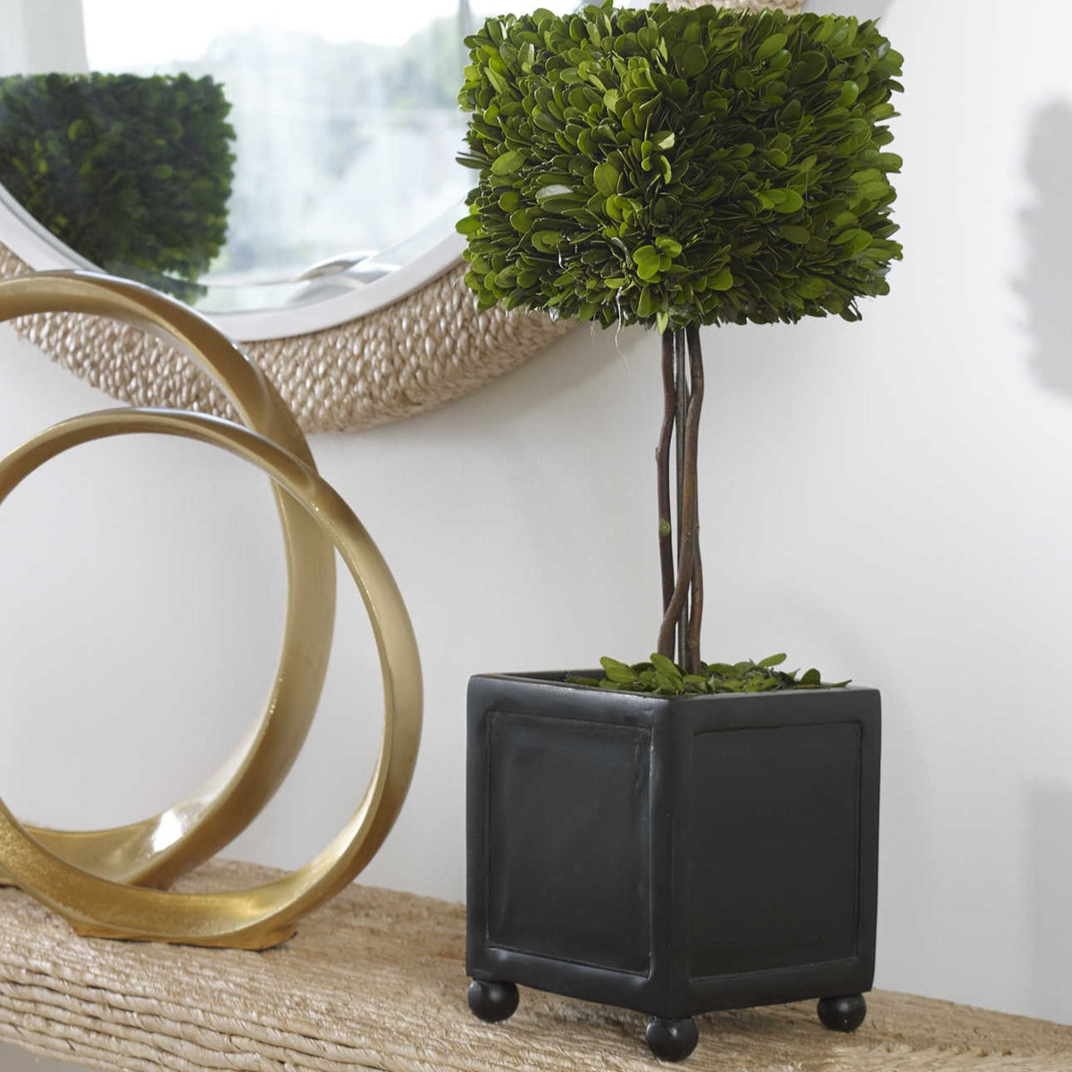 Preserved Boxwood Square Topiary