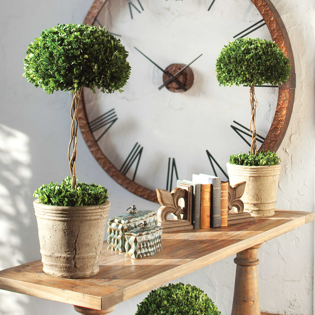 Preserved Boxwood Tree Topiary