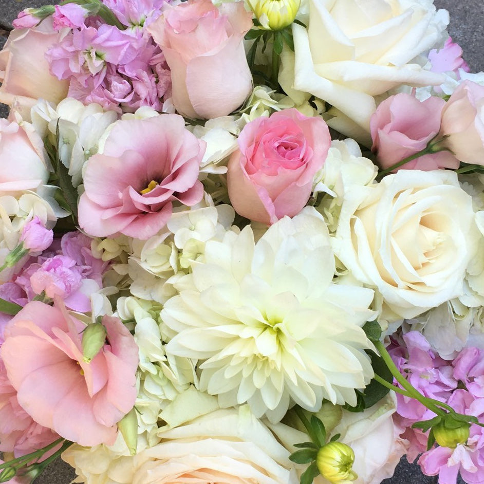 Rfdny DESIGNER'S CHOICE In Pinks And Whites