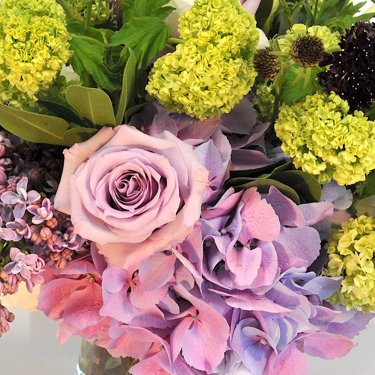 Rfdny DESIGNER'S CHOICE in Pinks