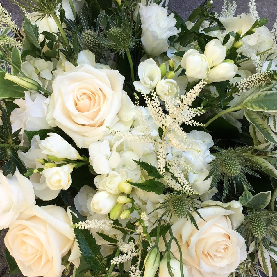 Rfdny DESIGNER'S CHOICE in White And Ivory