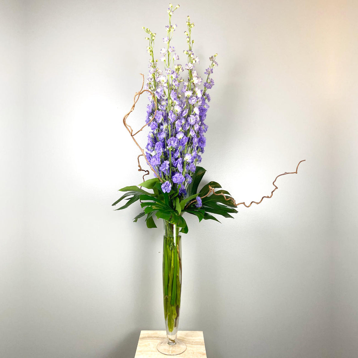 Tall Blue Delphinium