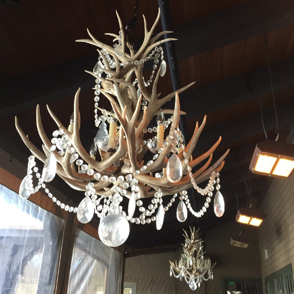 RL Chandelier  Straton Single Tier RL 5528BN-CG