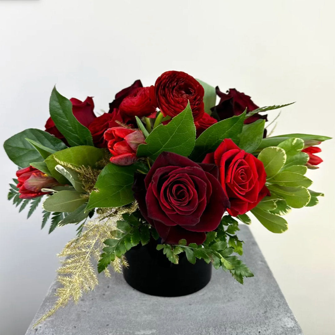 Rfdny DESIGNERS CHOICE Reds