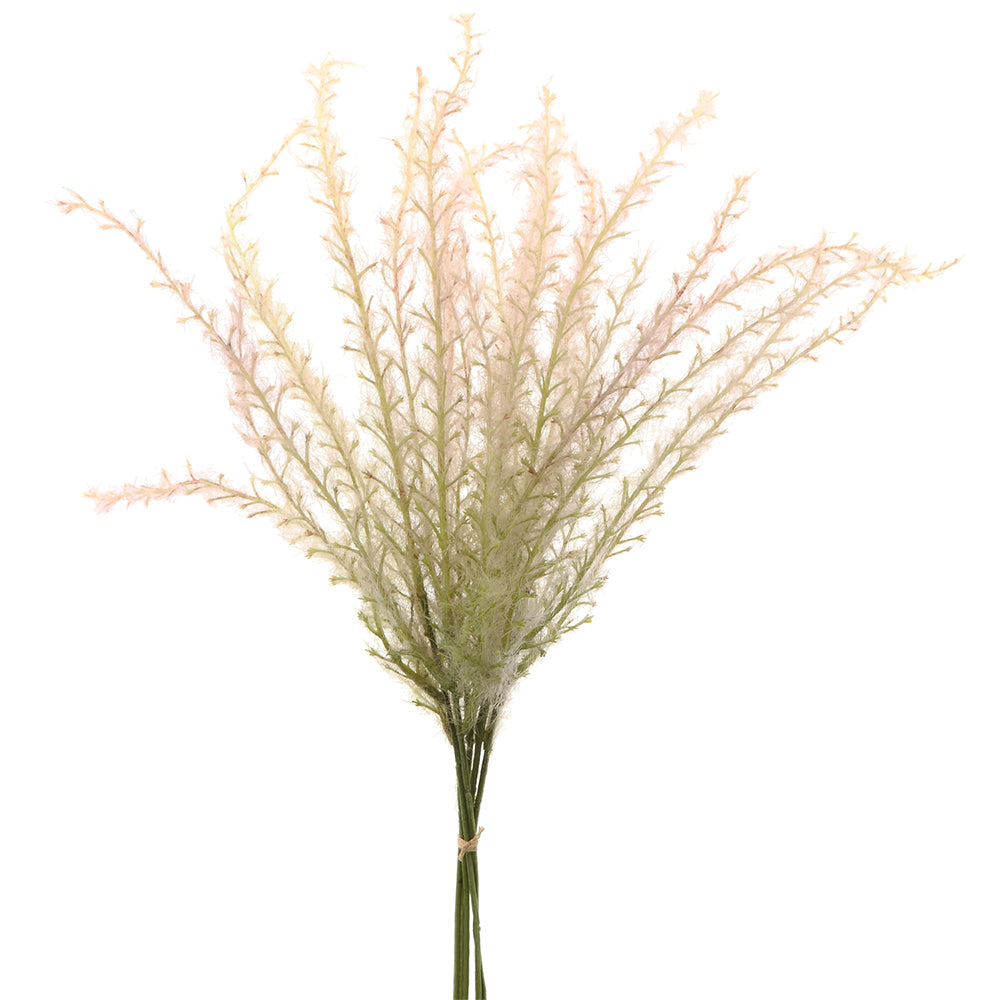 Reed Grass bundle Beige Mauve