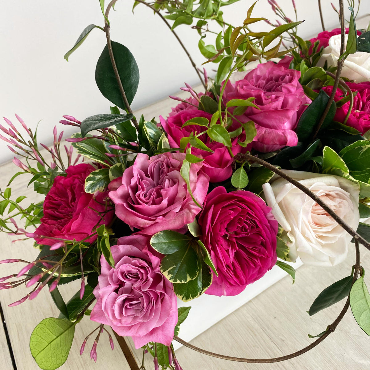 Garden of Roses