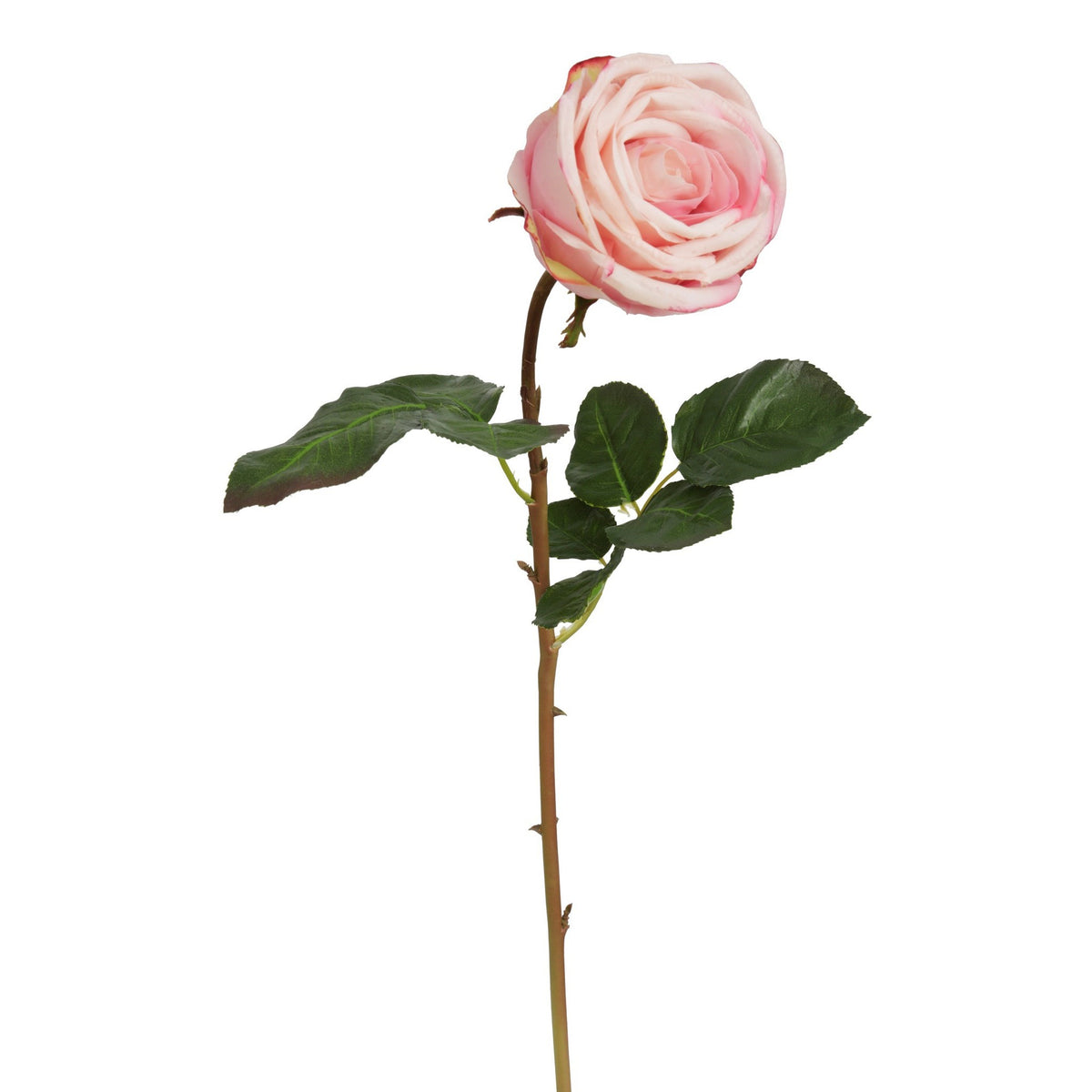Rose Bud Stem - Pink