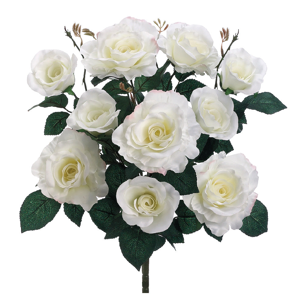 Rose Bush - White