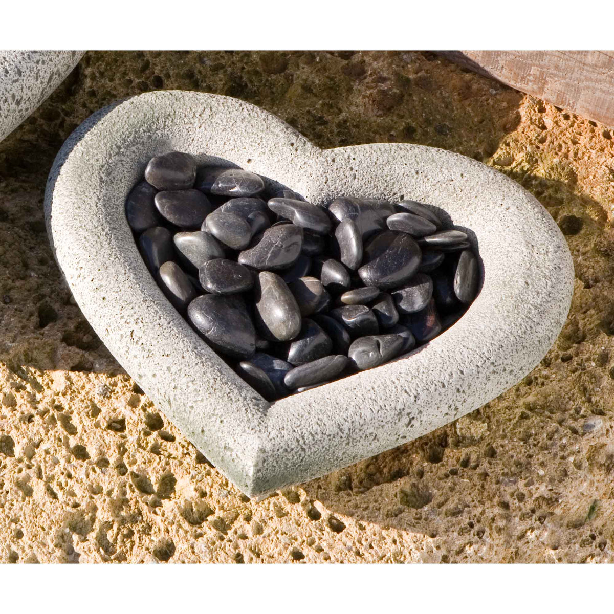 Heart Shell