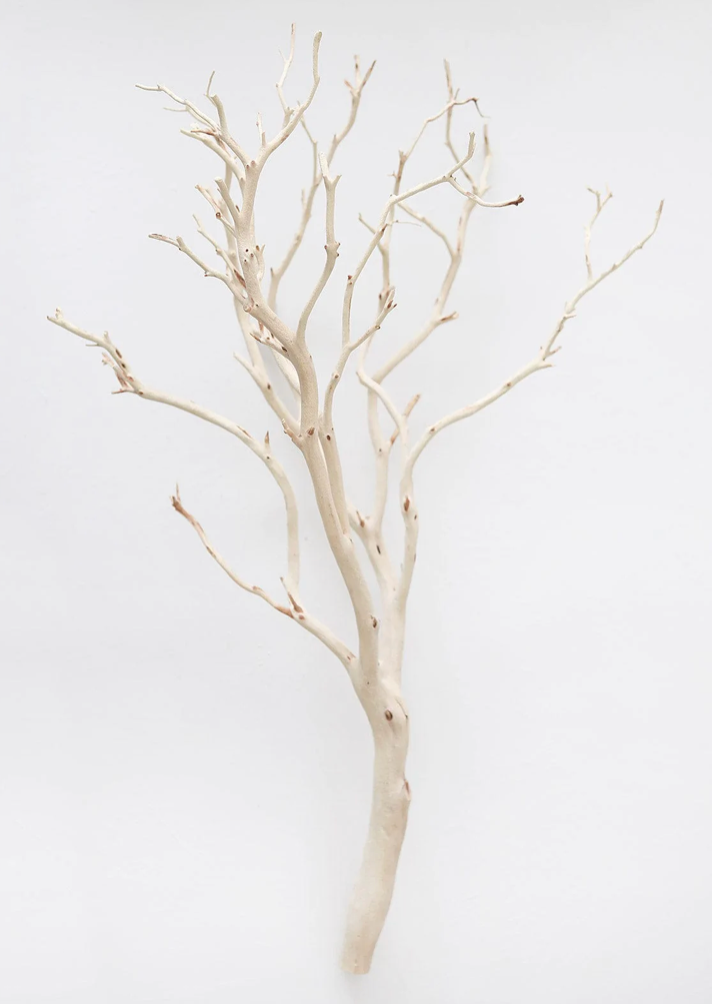 Sandblasted Manzanita Branch