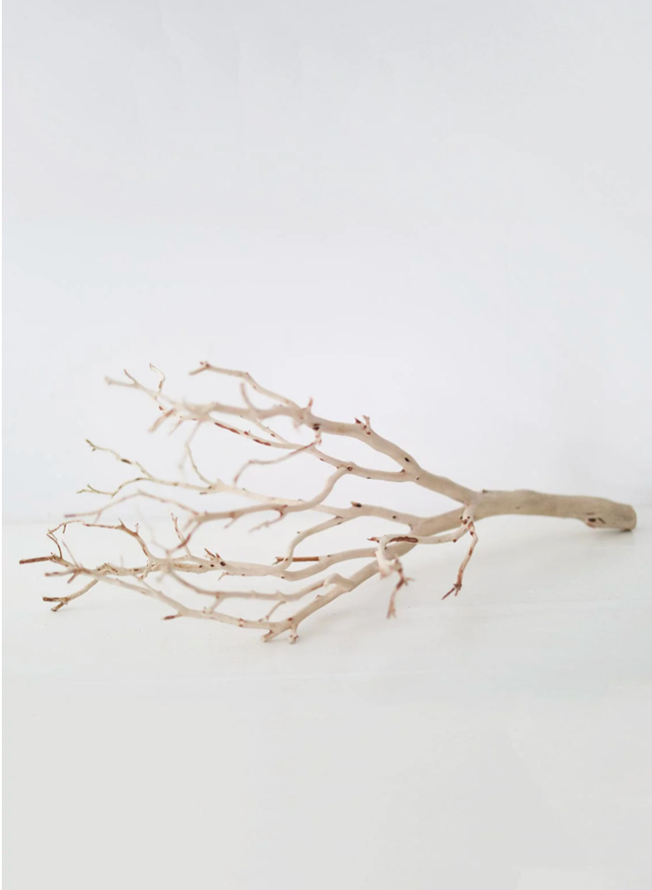 Sandblasted Manzanita Branch