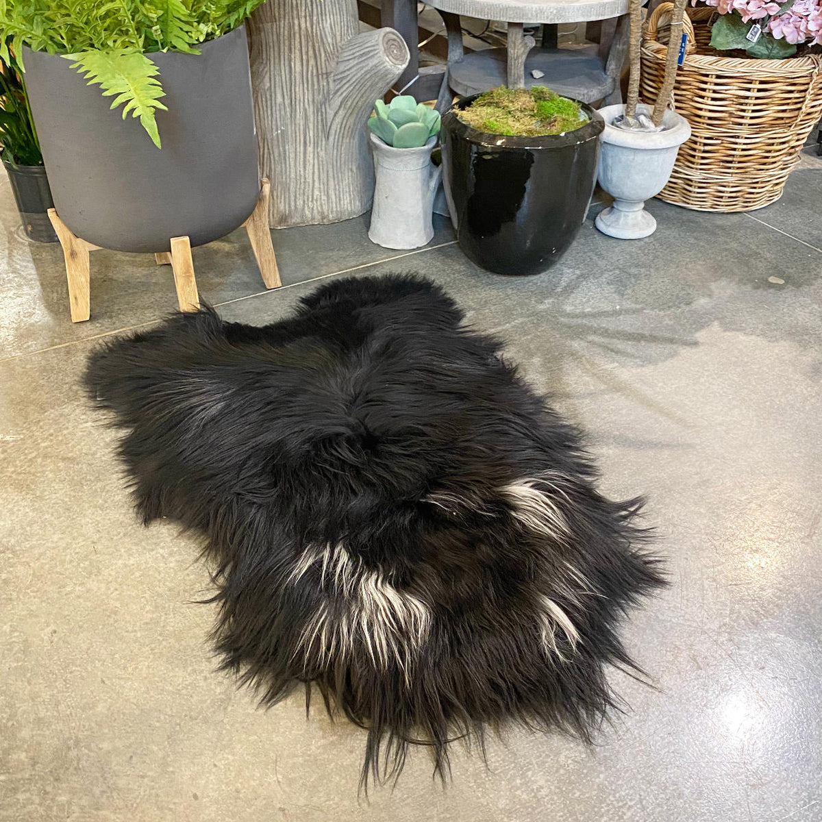 Icelandic Spotted Single Pelt