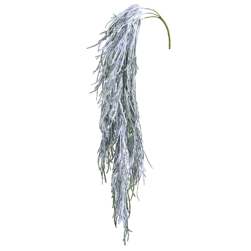 Snowy Hanging Grasses