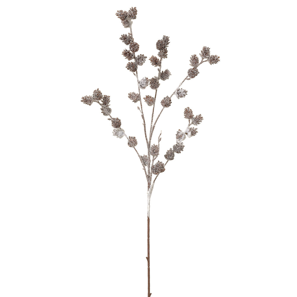 Snowy Pine Cone Branch