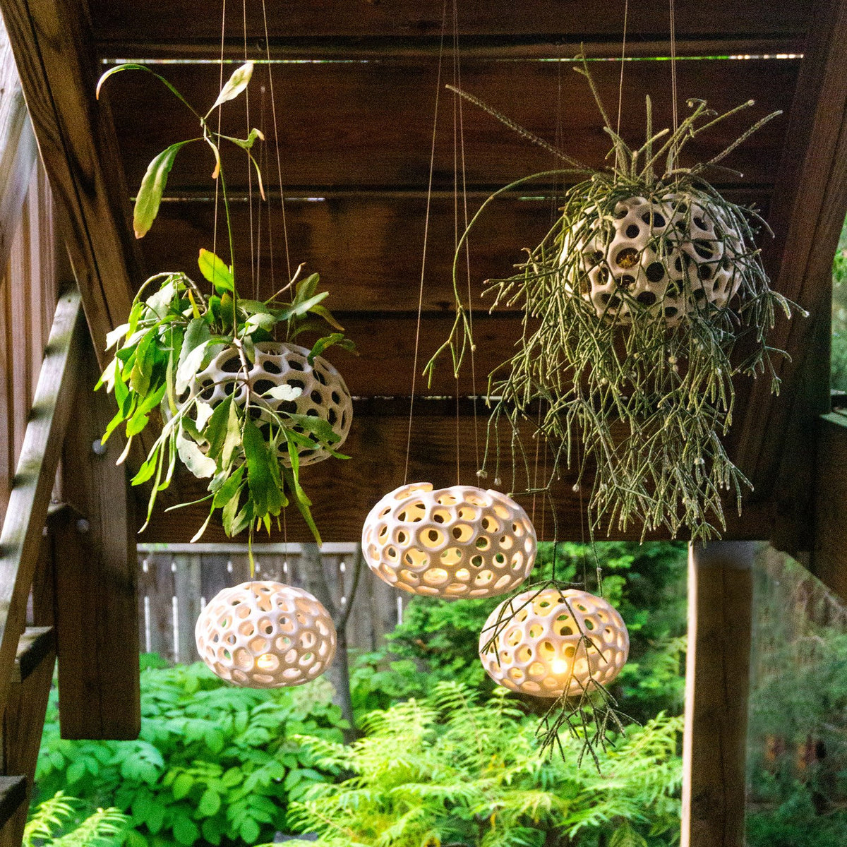 Sponge Sculpture Hanging Planter