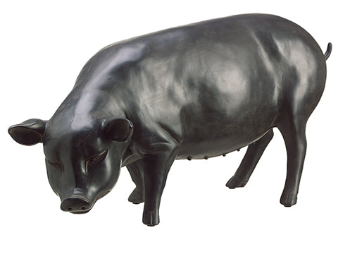 Standing Pig