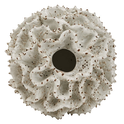 White Coral Vase