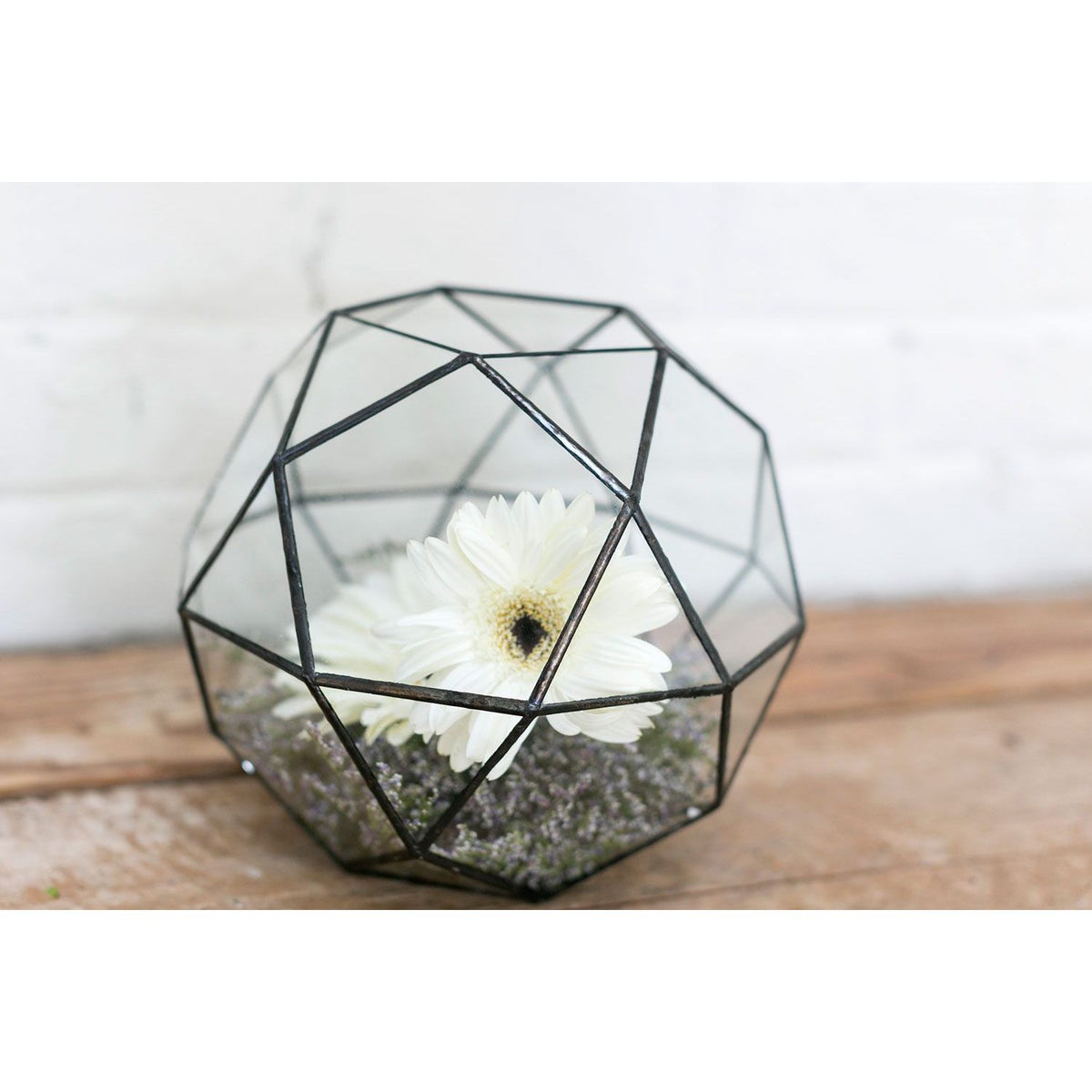 Geode Terrarium