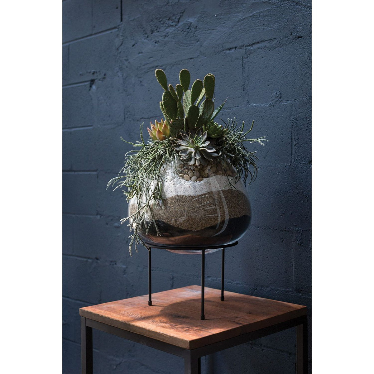 Zadia on Stand
