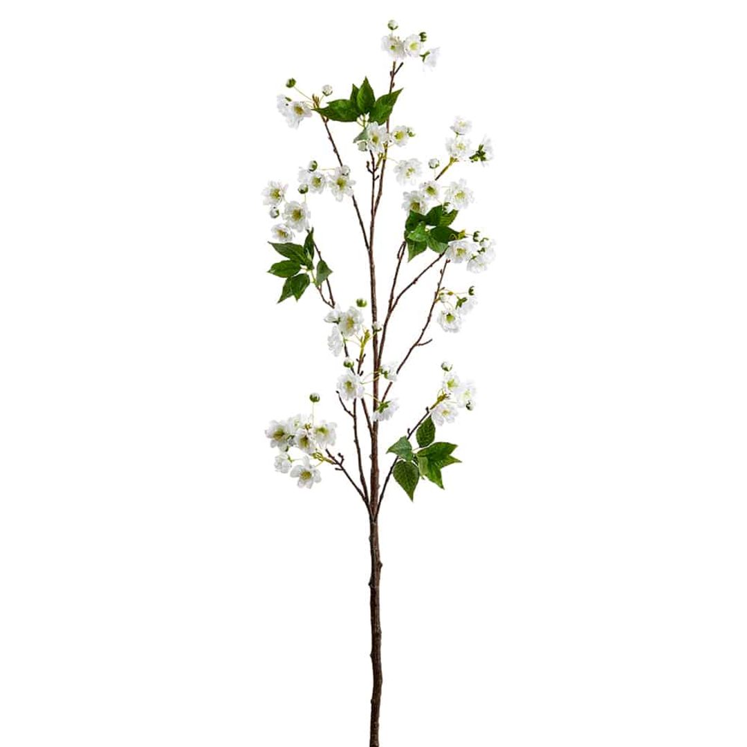 Cherry Blossom Branch