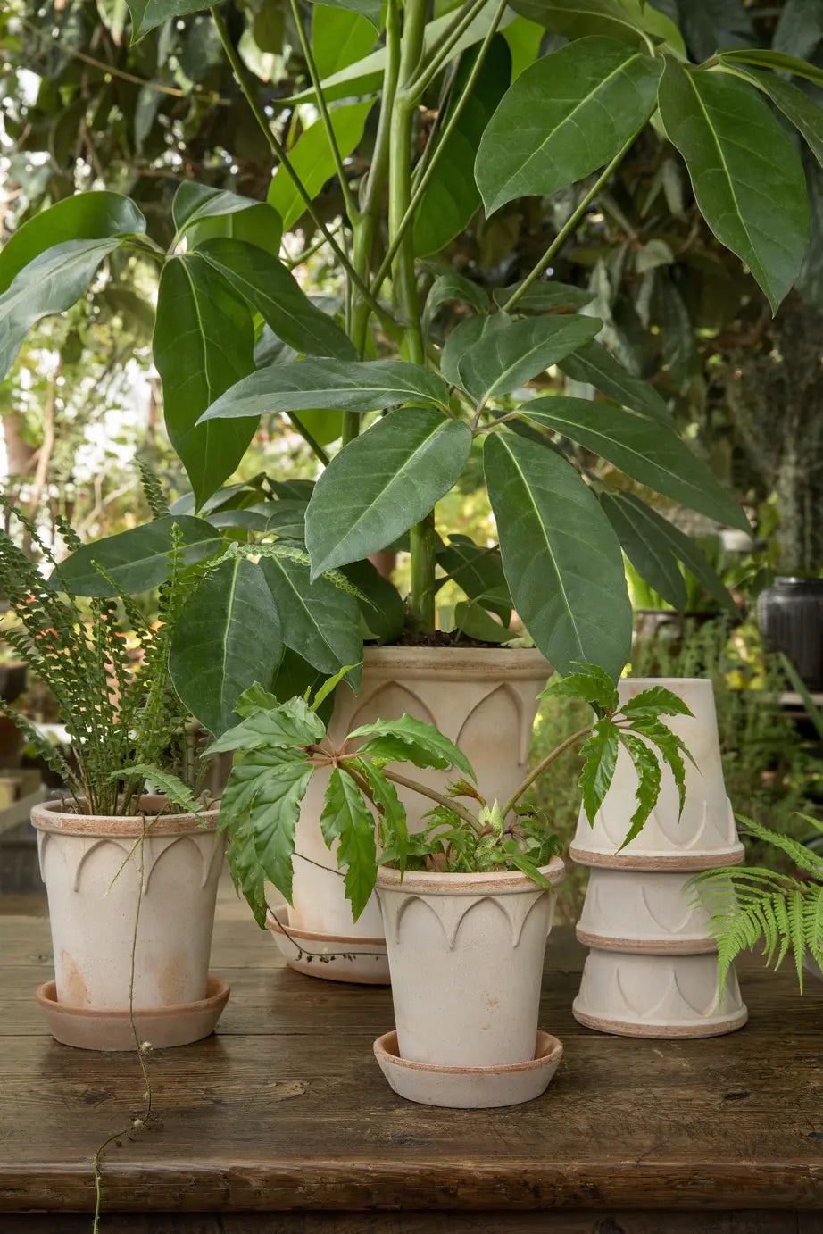 The Elizabeth Pot Collection