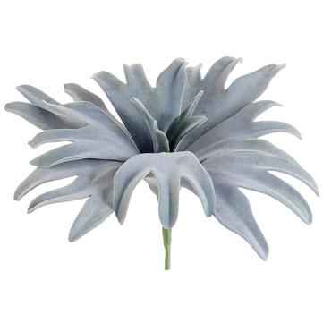 13" Staghorn Plant Green