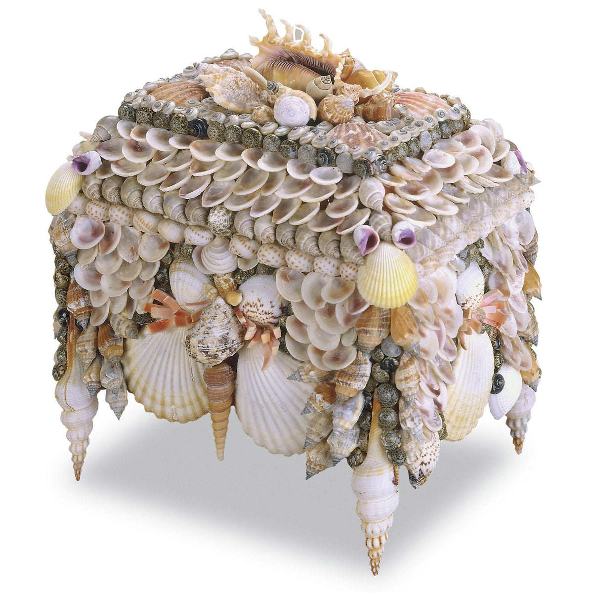 Boardwalk Shell Jewelry Box