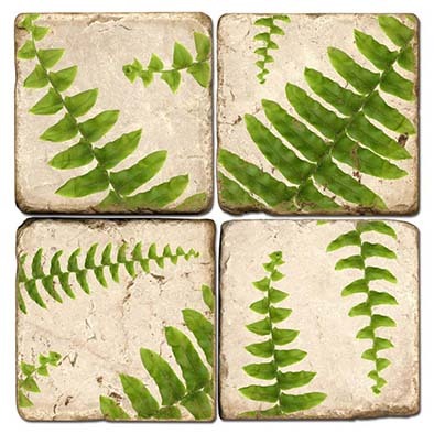 Ferns Coasters - Set of 4