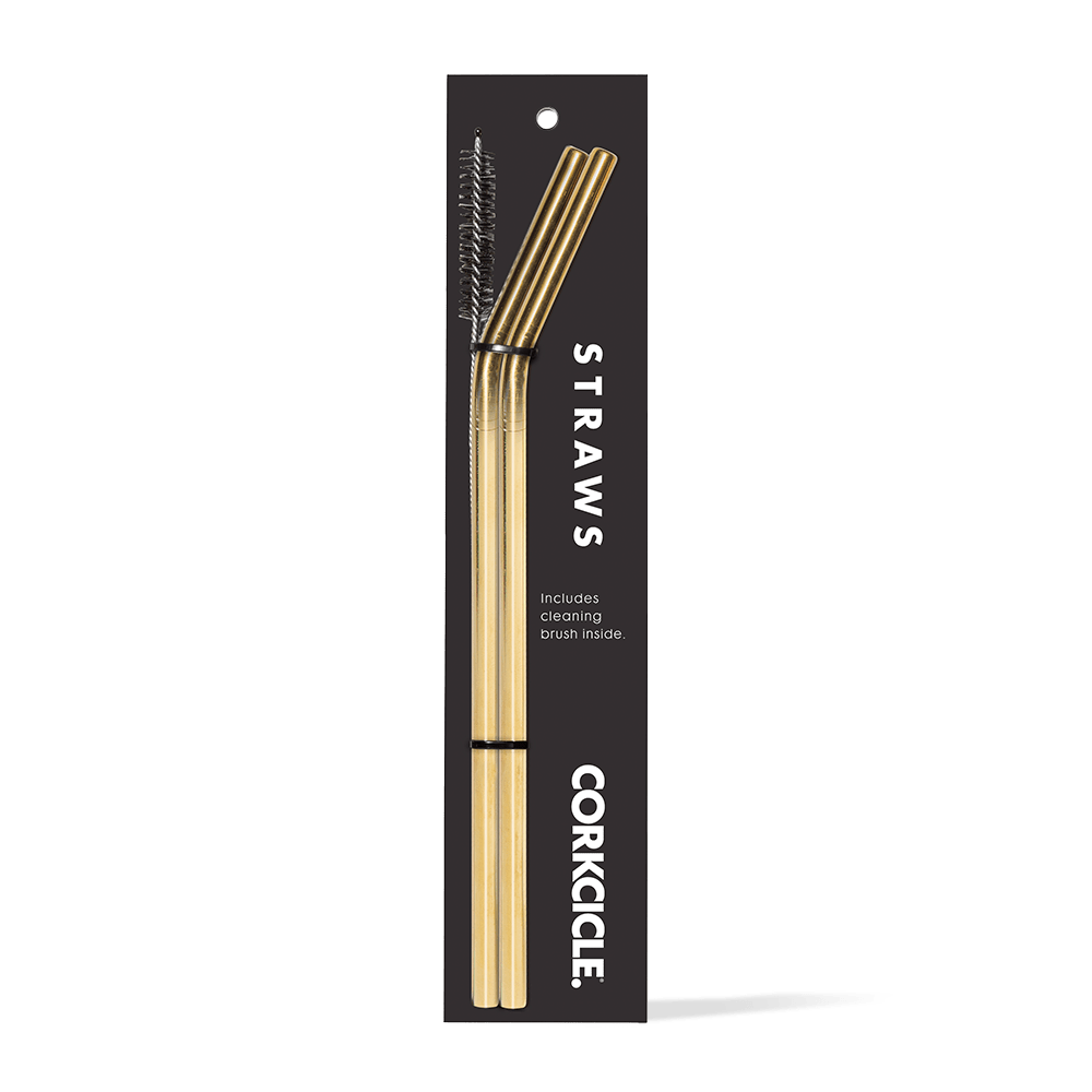 Tumbler Straw 2-Pack