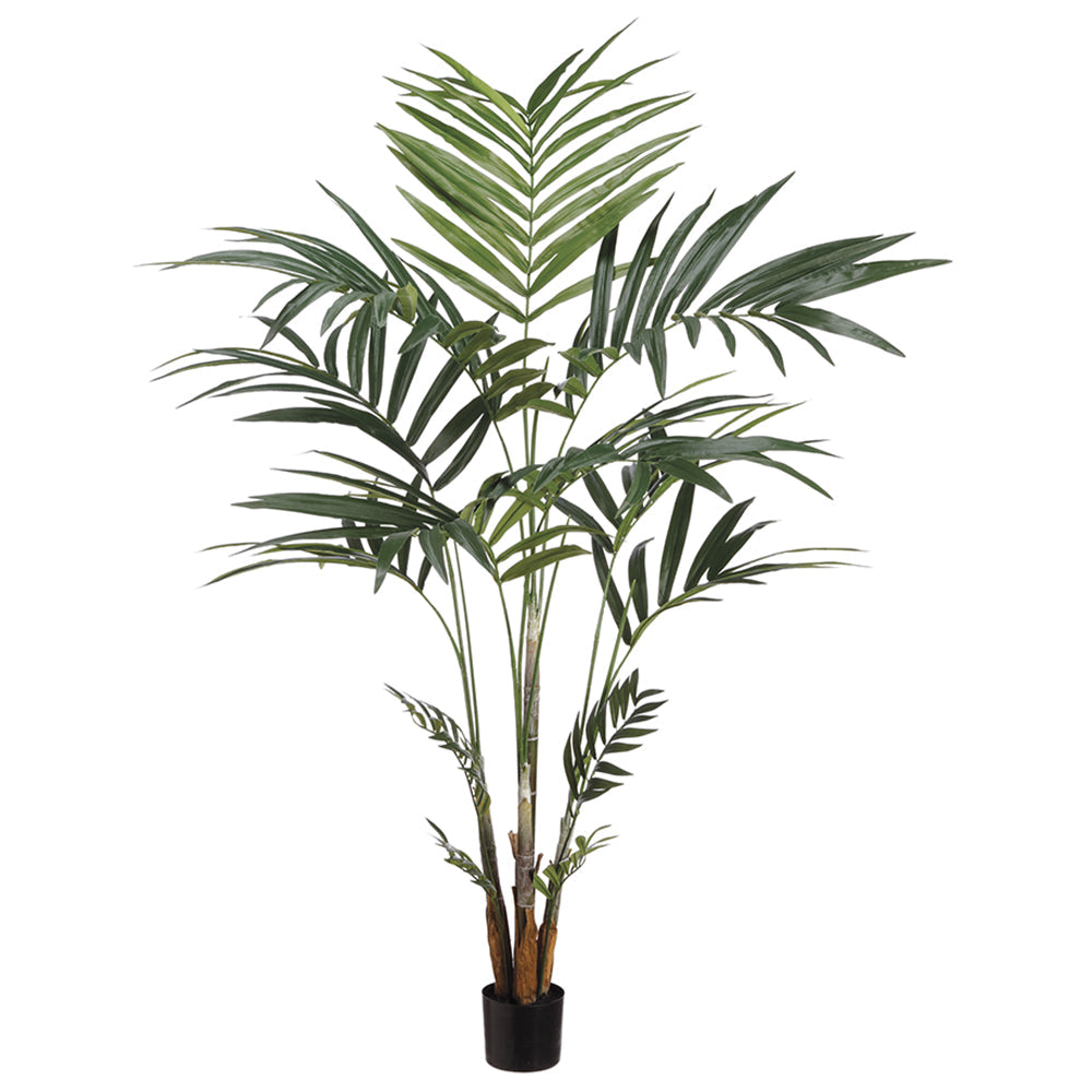 93" Kentish Palm Tree