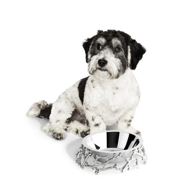Bone Dog Bowl
