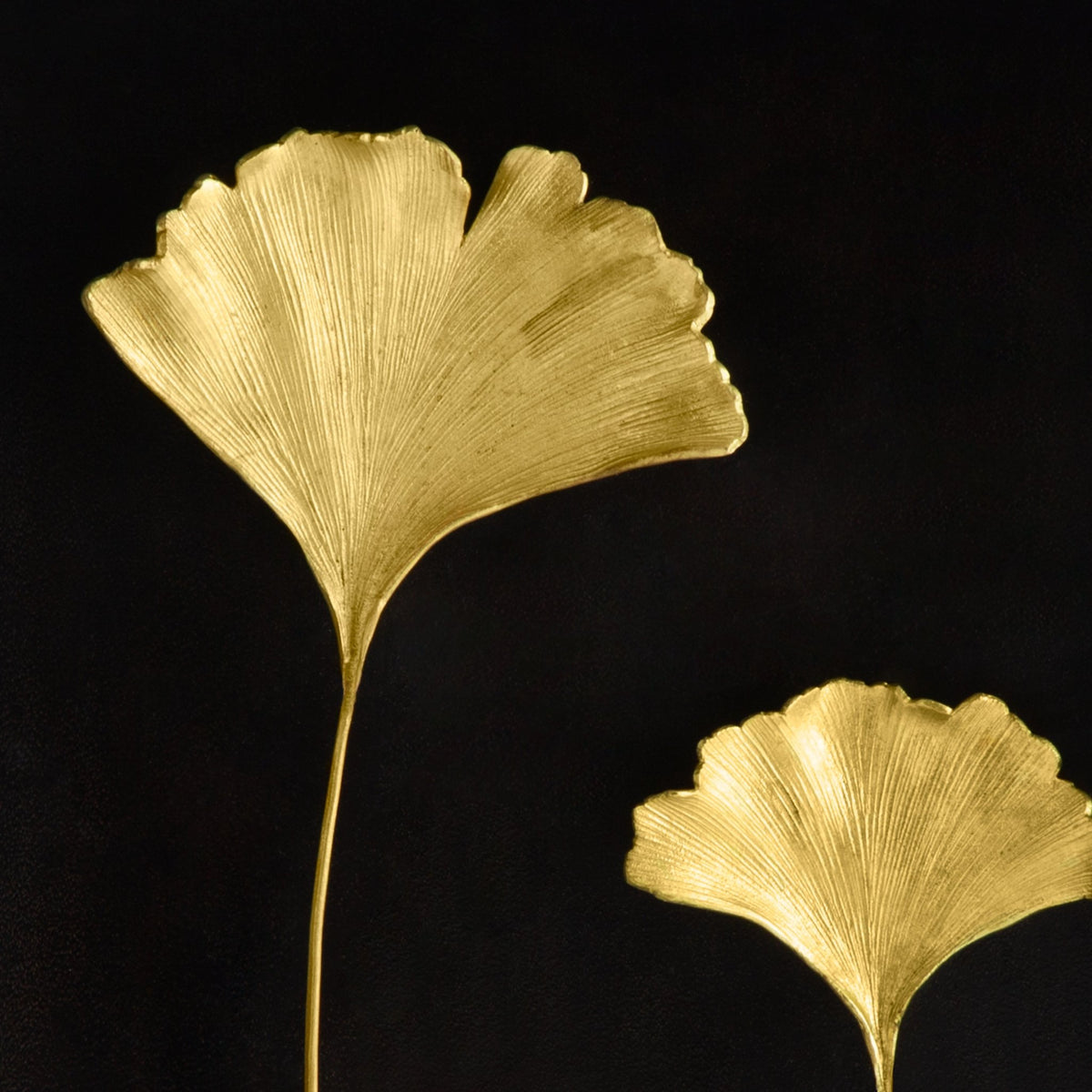 Ginkgo Leaf Shadow Box