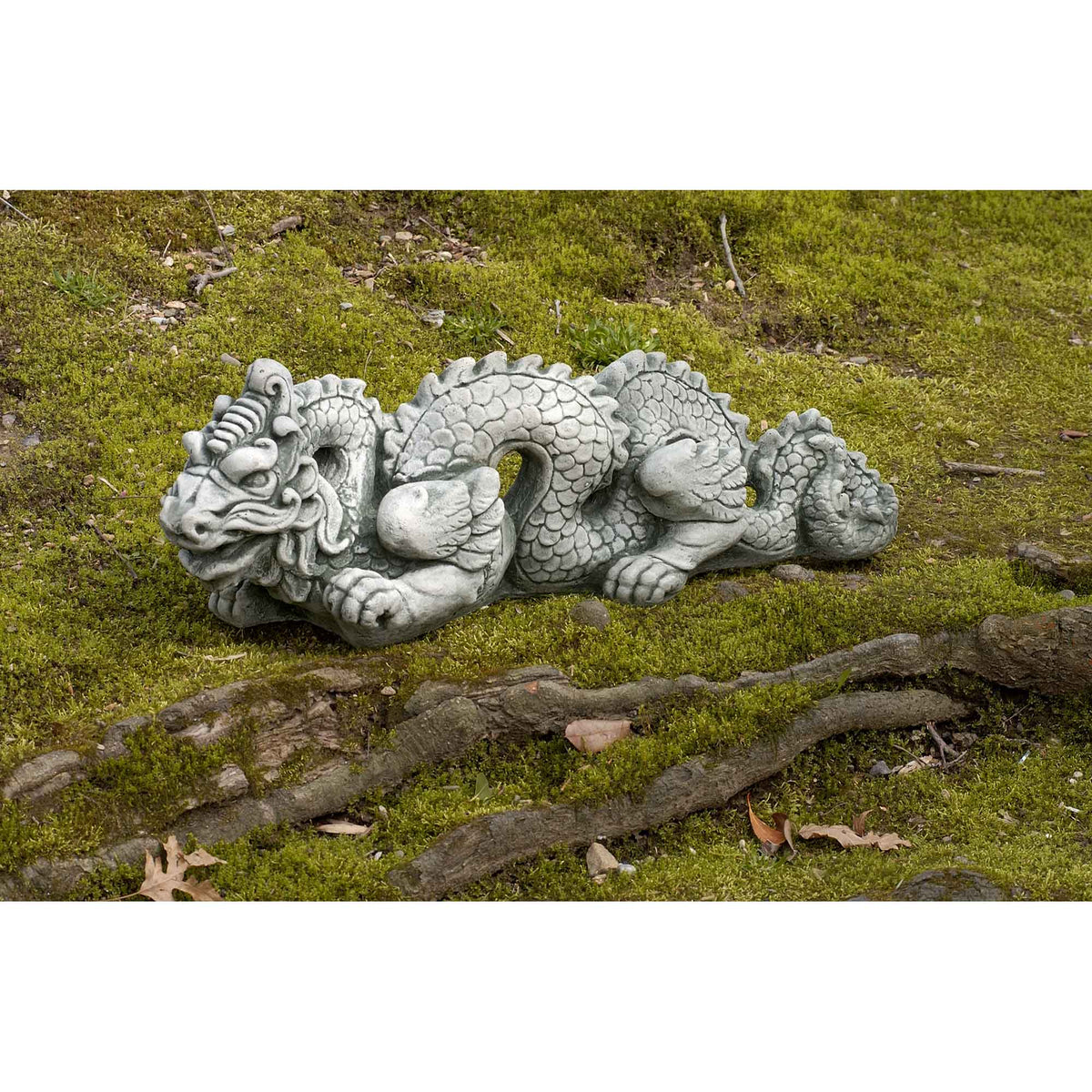 Dragon Small 