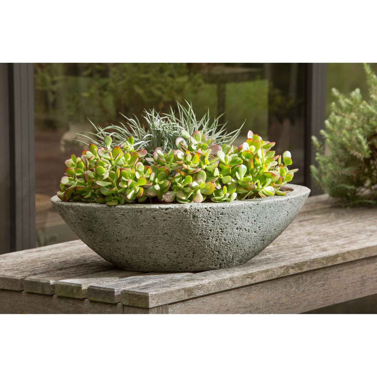 Celine Planter