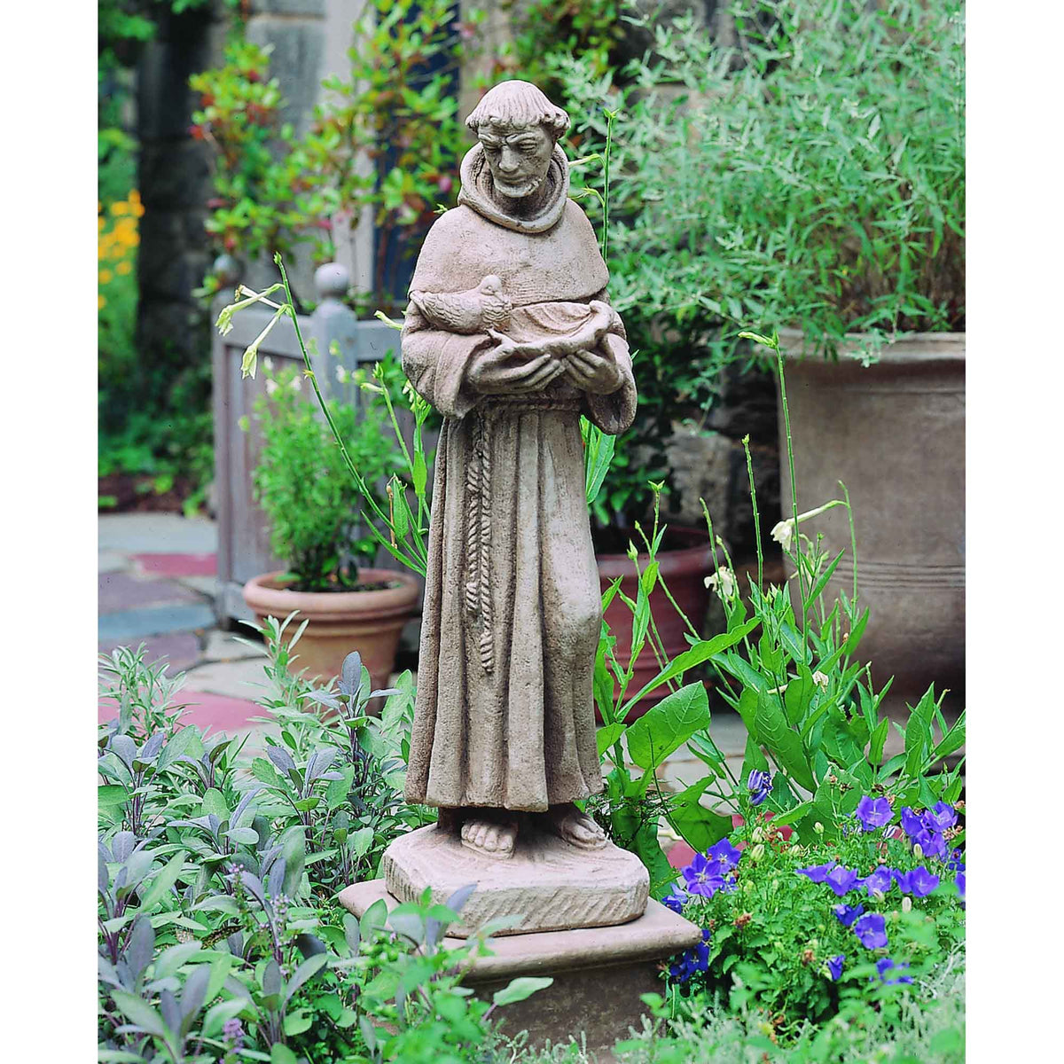 St. Francis w/shell