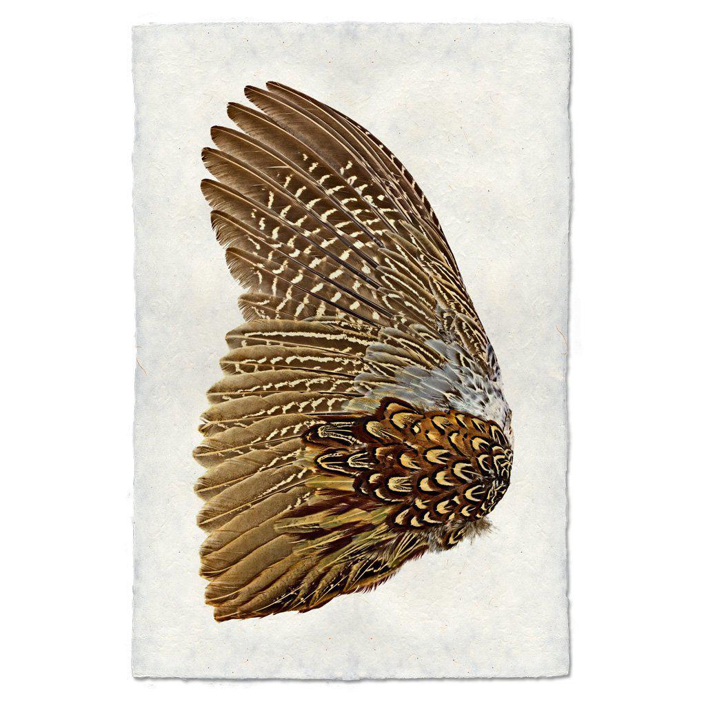 Ring Neck Pheasant (Left)