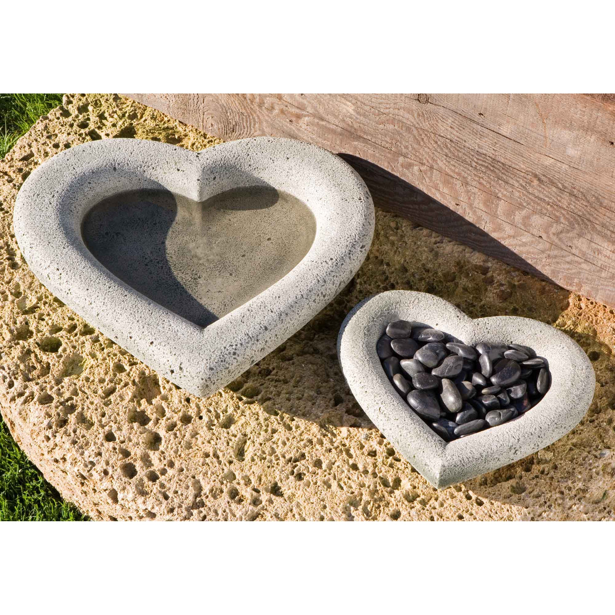 Heart Shell - Small