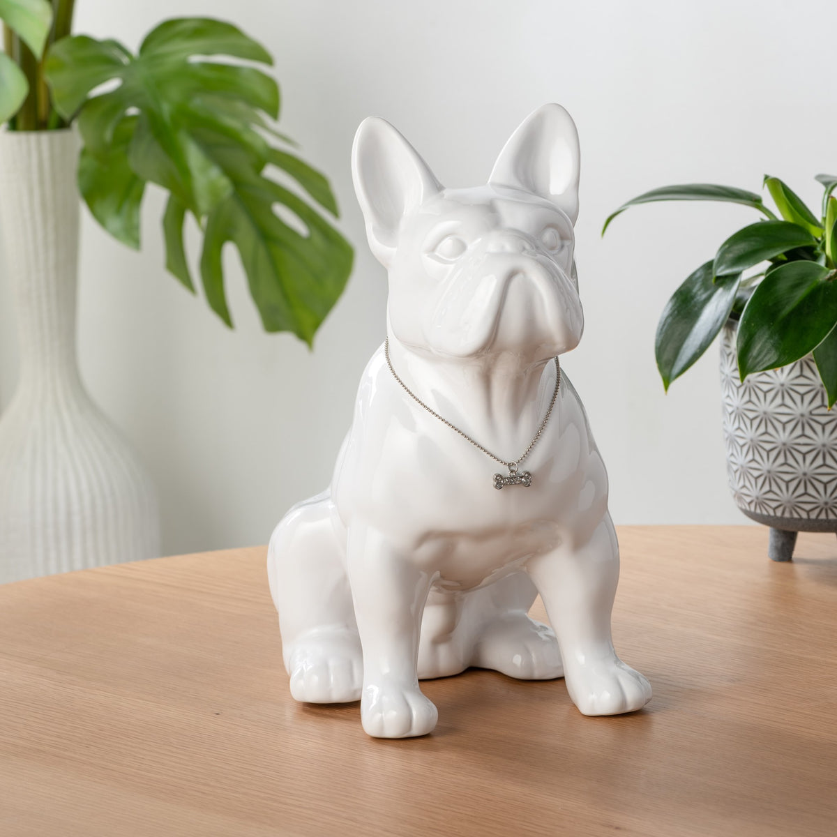 Sitting French Bulldog