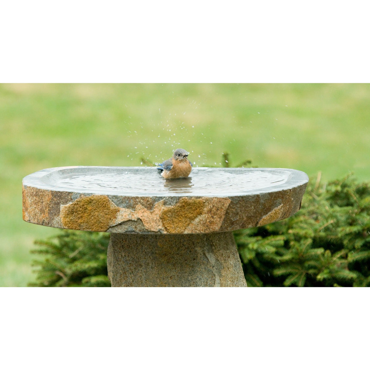 Boulder Birdbath